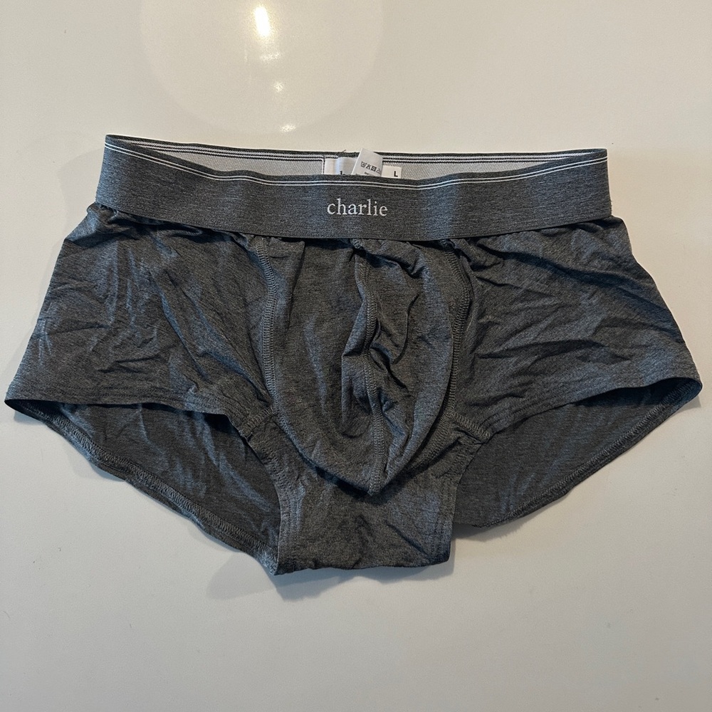 Charlie by MZ men’s trunks - L grey sport microfiber